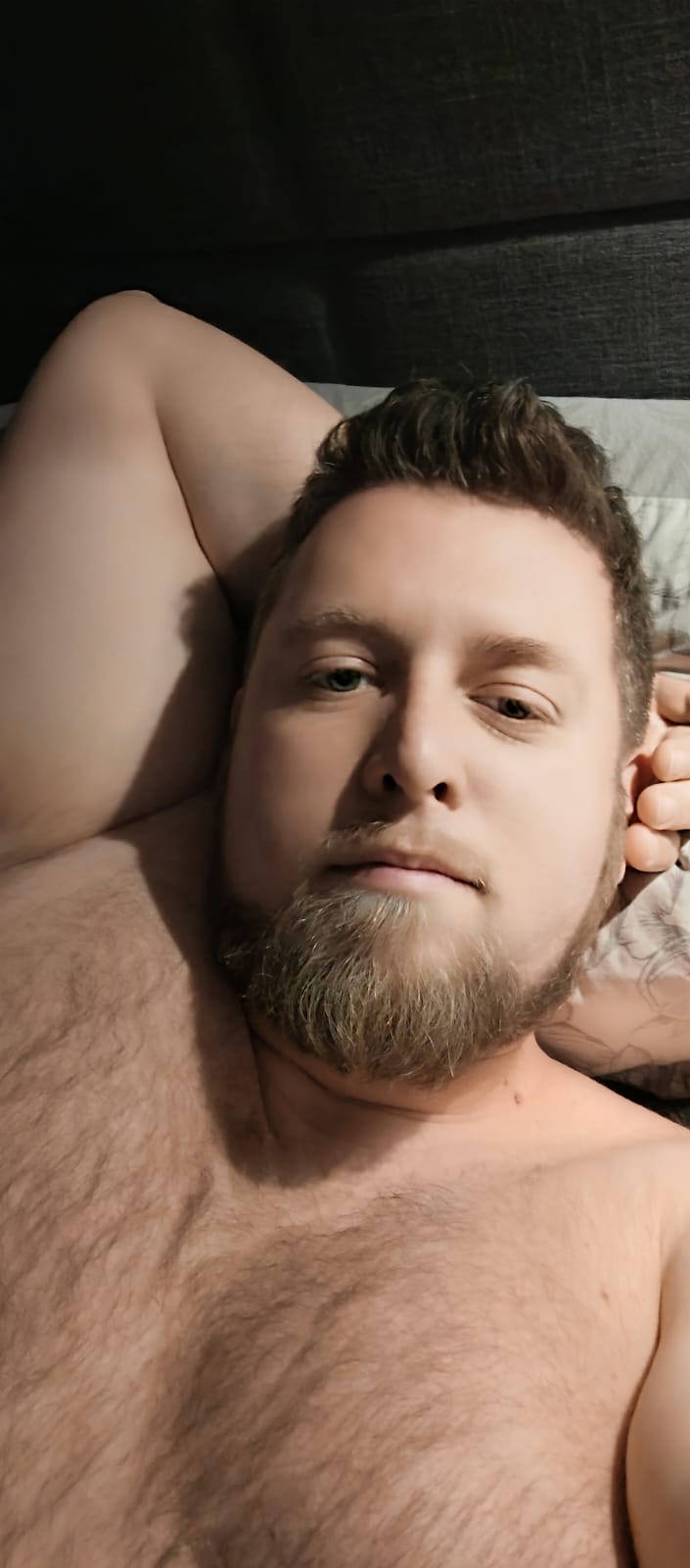 Perfil de Pierre-vincent