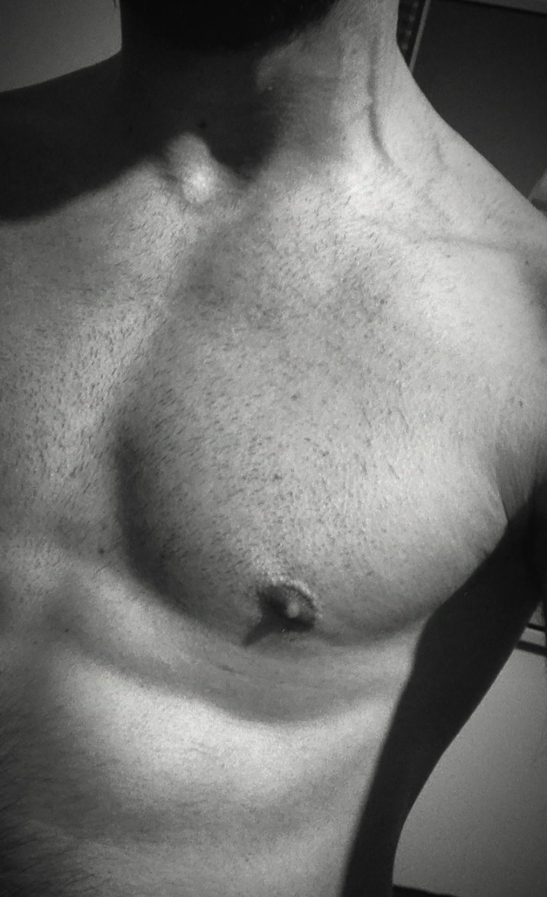 Perfil de Michelangelo