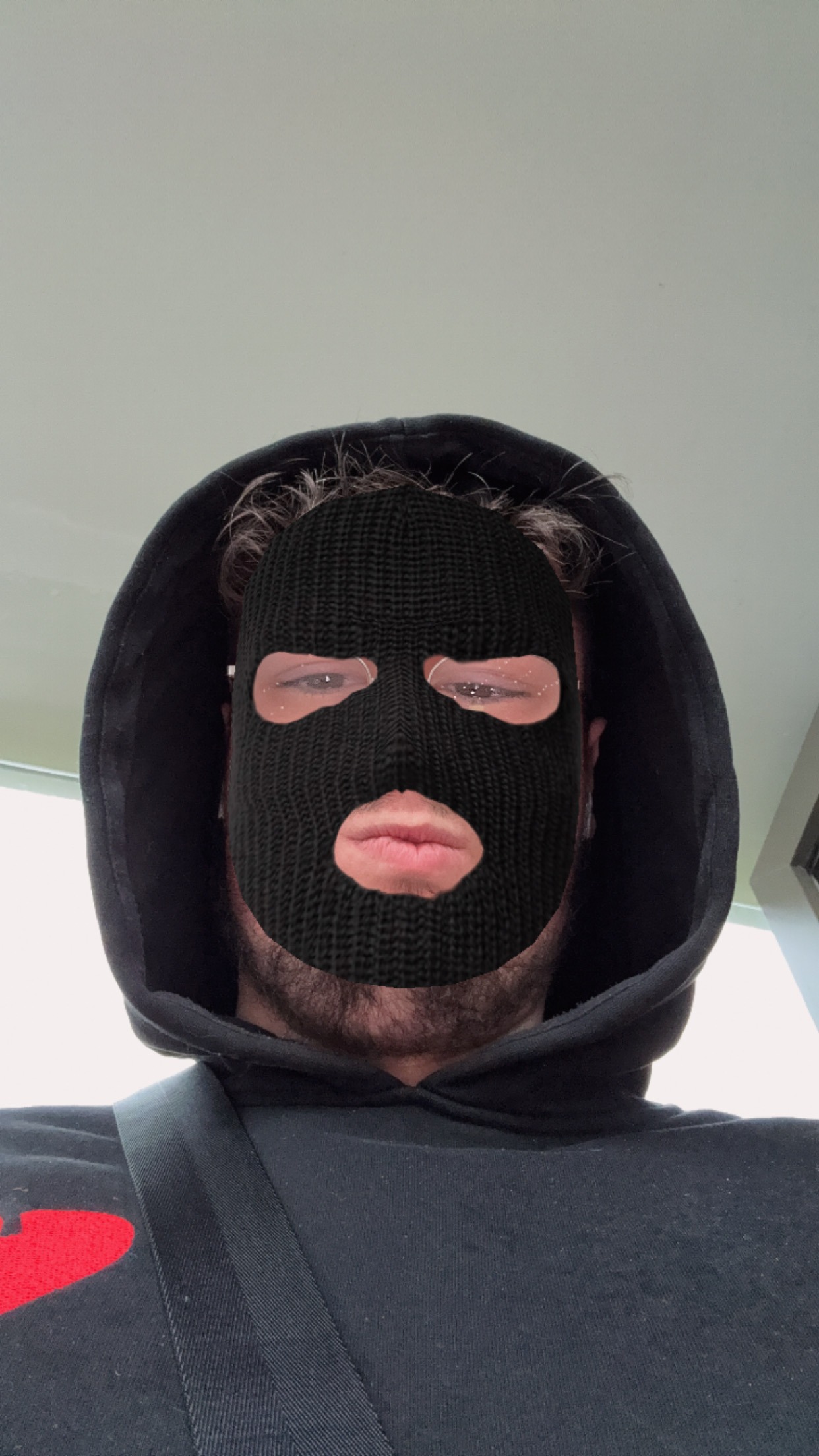 Perfil de Hippolythe